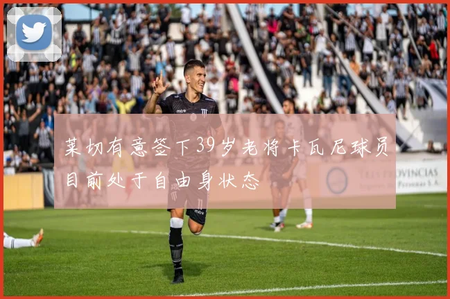 莱切有意签下39岁老将卡瓦尼球员目前处于自由身状态